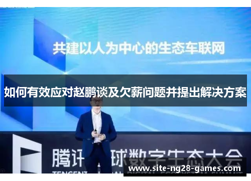 如何有效应对赵鹏谈及欠薪问题并提出解决方案
