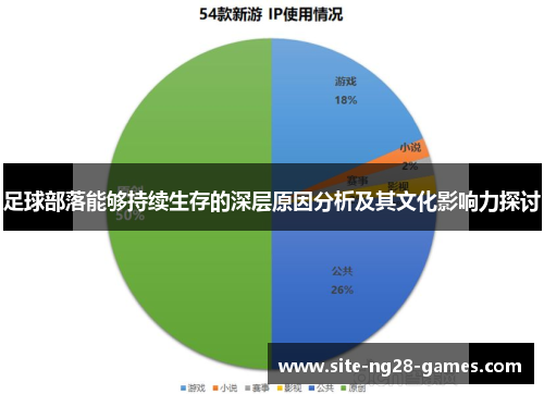 足球部落能够持续生存的深层原因分析及其文化影响力探讨