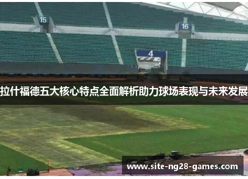 拉什福德五大核心特点全面解析助力球场表现与未来发展