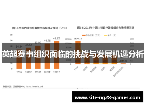 英超赛事组织面临的挑战与发展机遇分析 英超赛事组织面临的挑战与发展机遇分析